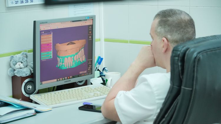 Функции и структура жевательного аппарата